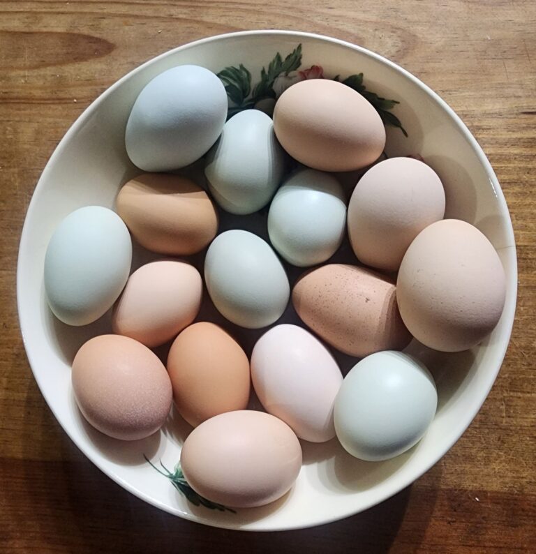 BOWLOFCOLOREDEGGS 768x794