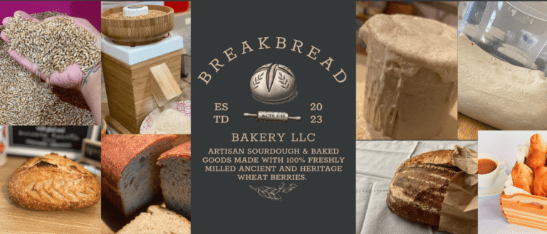 hotplate banner 768x329