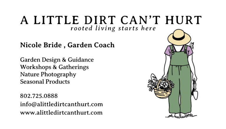Flyer 2x3.5 in Business Cards Business Card US 768x439