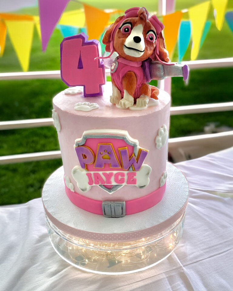 Childrens Birthday Cake Paw Texas 768x960