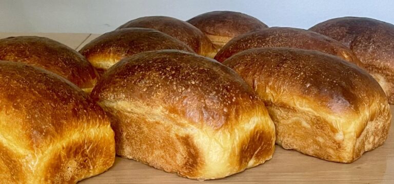 sandwich 768x359